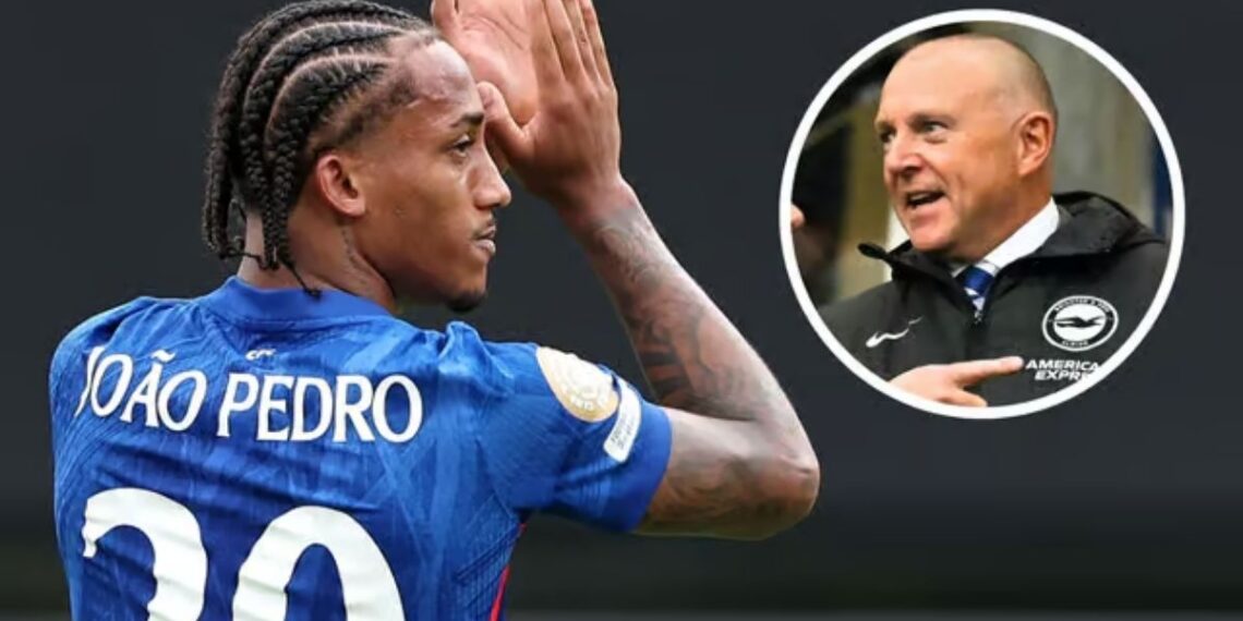 Brighton CEO Paul Barber Responds to Fan Concerns Over Selling Star Players