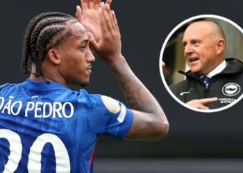 Brighton CEO Paul Barber Responds to Fan Concerns Over Selling Star Players