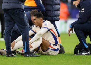 Chelsea United in Support as Levi Colwill Faces ACL Surgery Blow