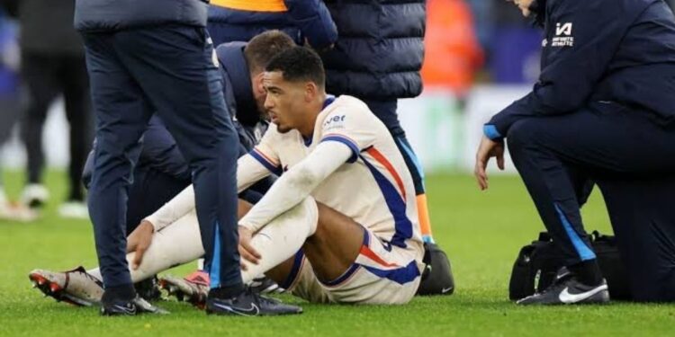 Chelsea United in Support as Levi Colwill Faces ACL Surgery Blow