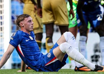 Steve Nicol Slams Cole Palmer and Joao Pedro After Stalemate With Palace