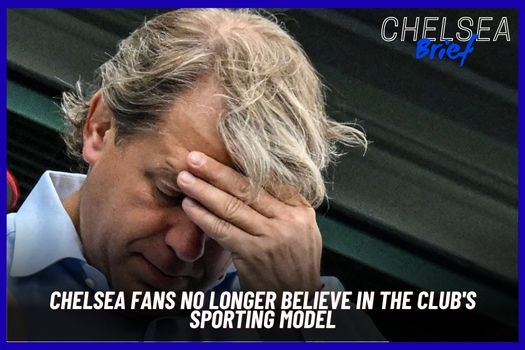 Chelsea Fan Trust Survey Reveals Deepening Rift Between Club and Supporters After Rosenior Appointment